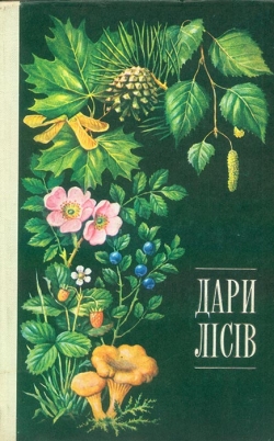 Дарунки лісів