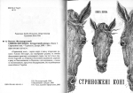 Василь Фольварочний. СИМОН ПЕТЛЮРА. Історичний роман. Книга 1